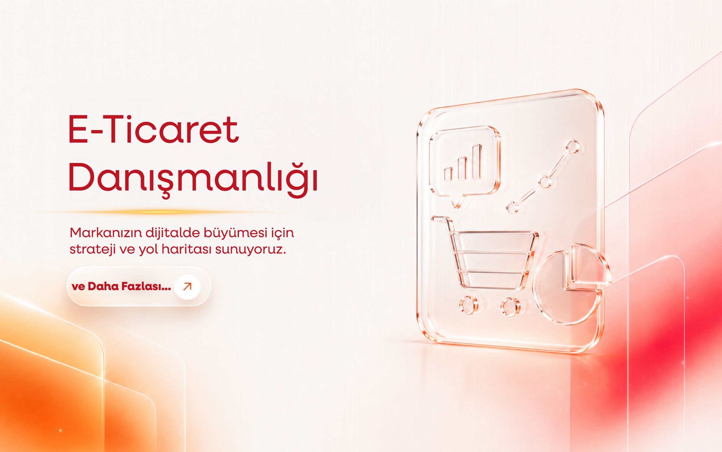 E-Ticaret Dan��manl���